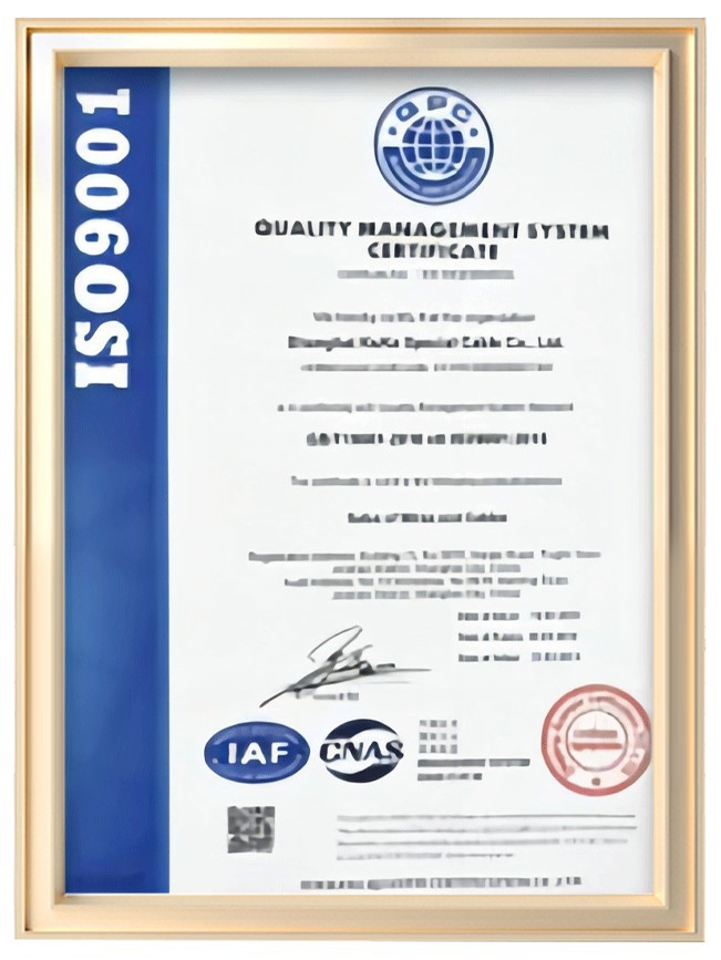 ISO9001 ISO9001
