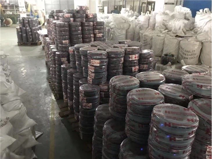 6mm Twin Core Cable 100M